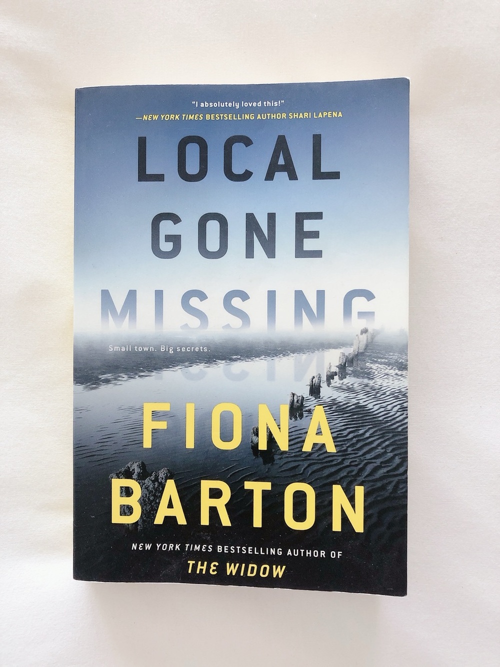 Local Gone Missing by Fiona Barton novel paperback book thriller